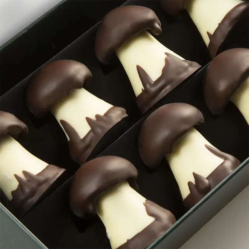 Coffret champignon