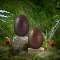 Dark chocolate mystery egg | CLUIZEL