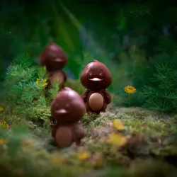 Milk chocolate duck | CLUIZEL