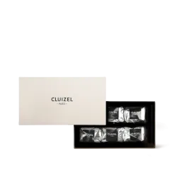 Candied chestnuts n°6 | CLUIZEL