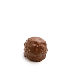 Rocher Délice lait