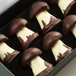 Coffret Champignons caramel | CLUIZEL