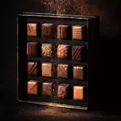 Coffret chocolat Les Exclusifs n°16 | CLUIZEL