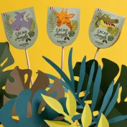 Pack of 5 Cocoa Jungle lollipops | CLUIZEL