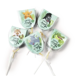 Pack of 5 Cocoa Jungle lollipops | CLUIZEL