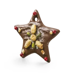 Mendiant milk chocolate star | CLUIZEL
