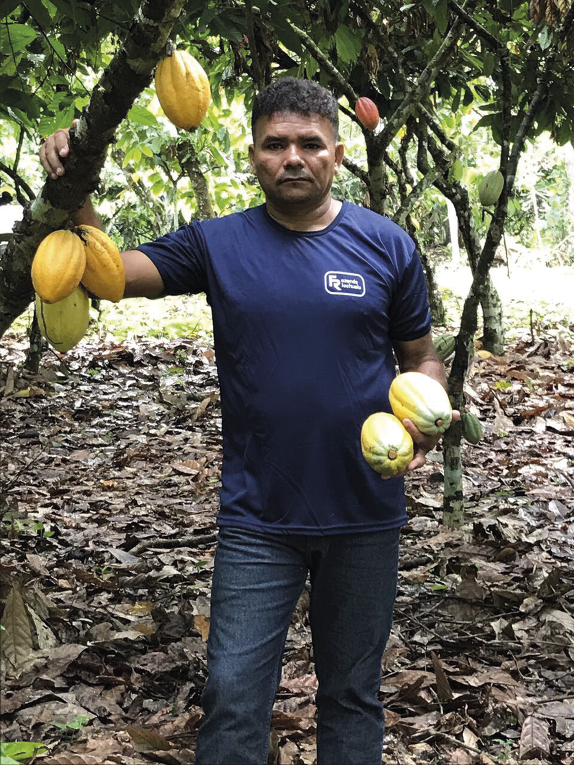 Plantation Los Anconès bar 73% dark chocolate | CLUIZEL